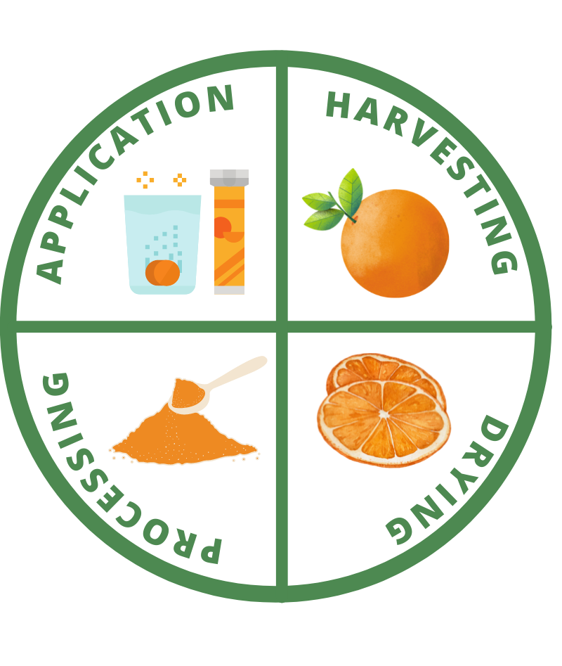 stages of food processing